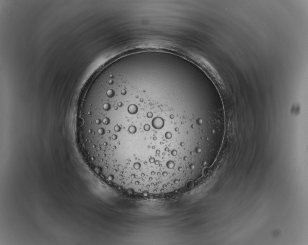 X0000098071130200804041119