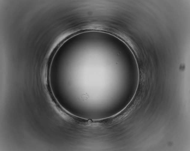 X0000098071131200804041119