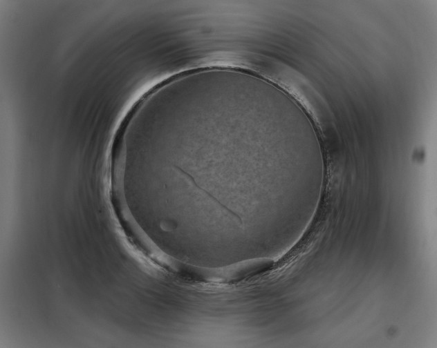 X0000098071132200804041119