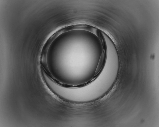 X0000098071134200804041119