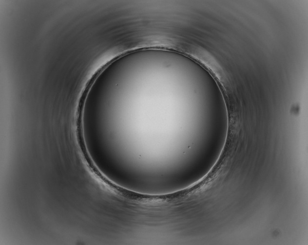 X0000098071135200804041119