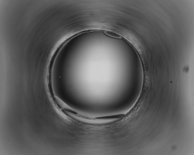 X0000098071136200804041119