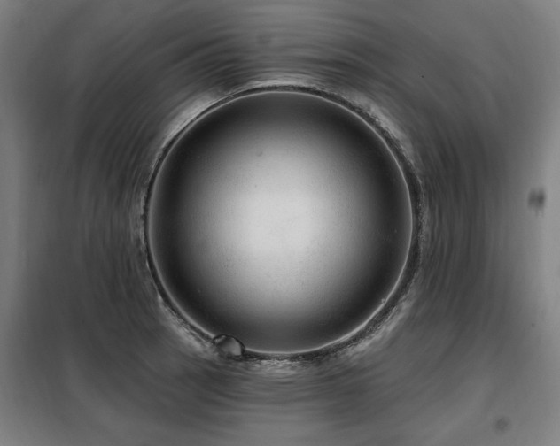 X0000098071137200804041119