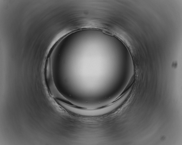 X0000098071138200804041119