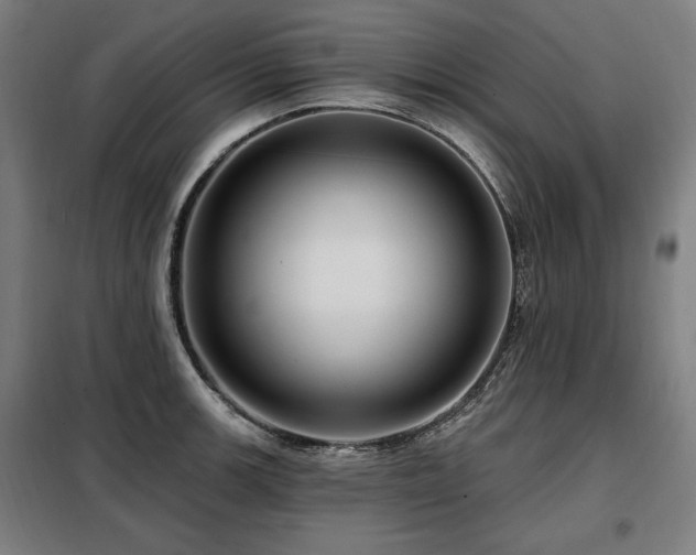 X0000098071139200804041119