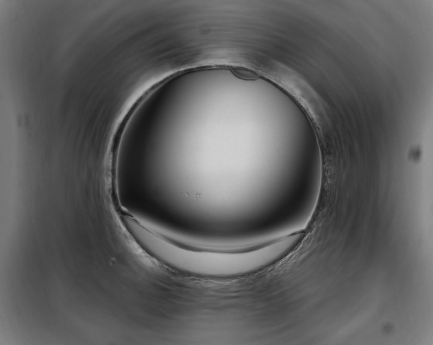 X0000098071140200804041119