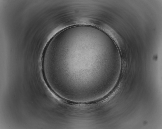 X0000098071141200804041119