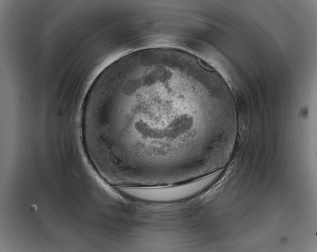 X0000098071142200804041119