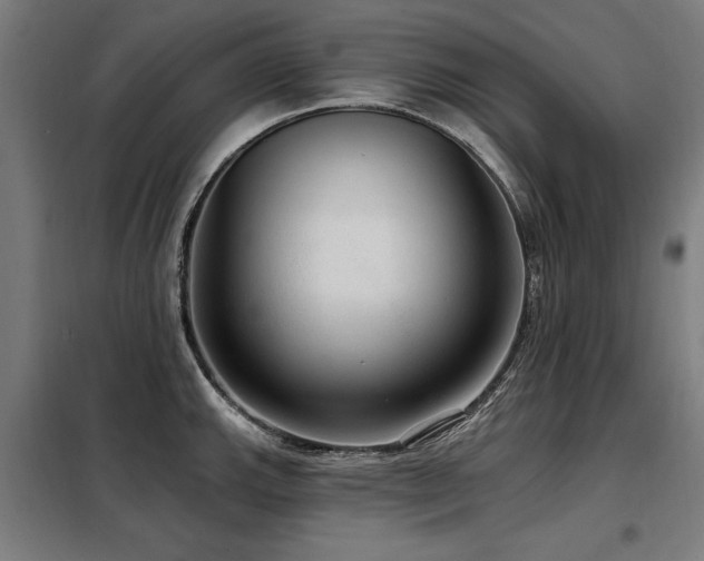 X0000098071143200804041119