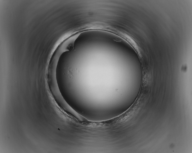 X0000098071146200804041119