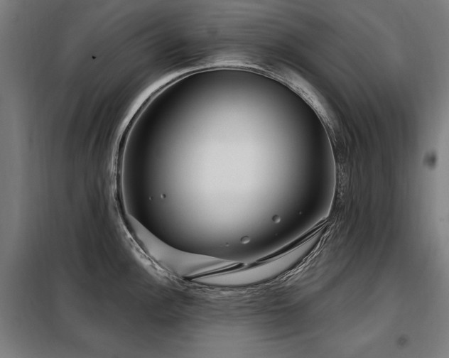 X0000098071148200804041119