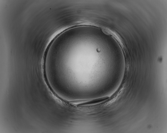 X0000098071149200804041119