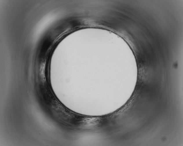 X0000098071150200804041119