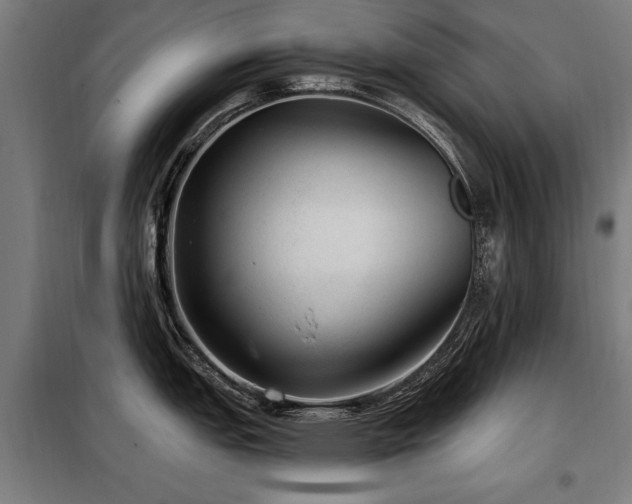 X0000098071151200804041119