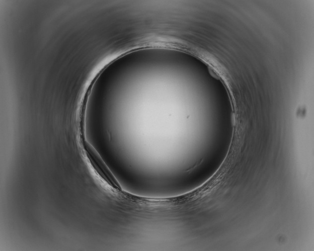X0000098071152200804041119
