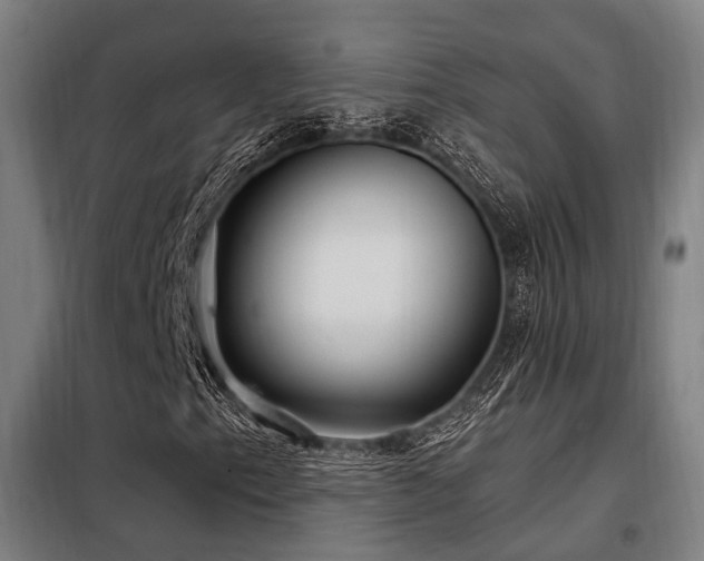 X0000098071153200804041118