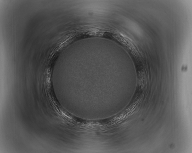 X0000098071154200804041118