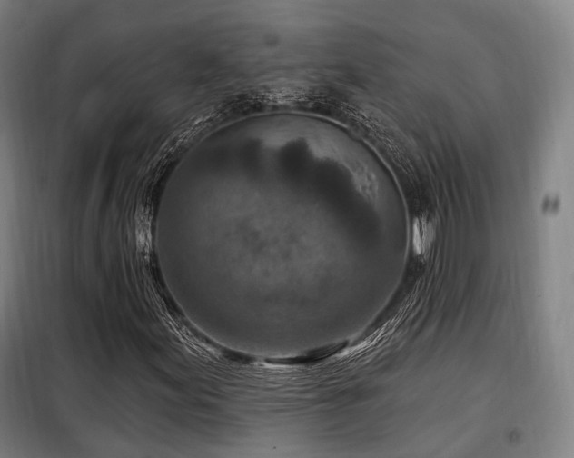 X0000098071155200804041118