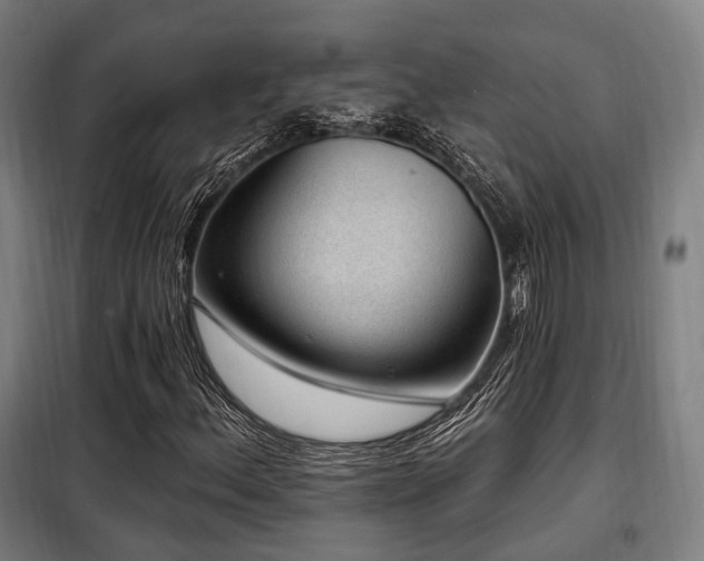 X0000098071156200804041118