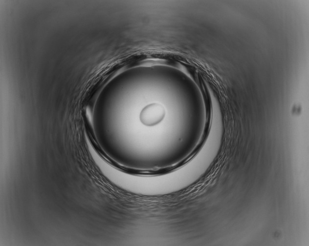X0000098071157200804041118