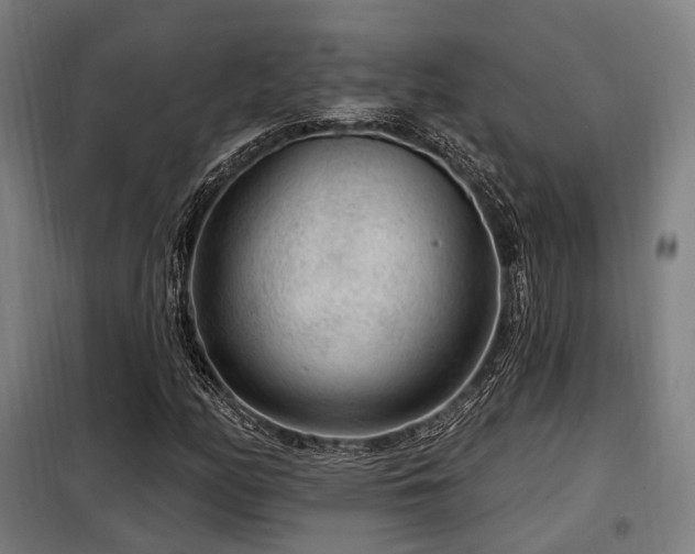 X0000098071158200804041118