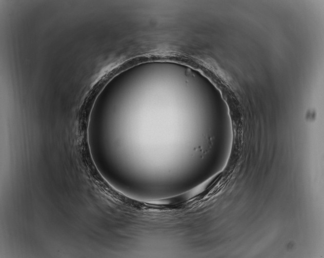 X0000098071160200804041118