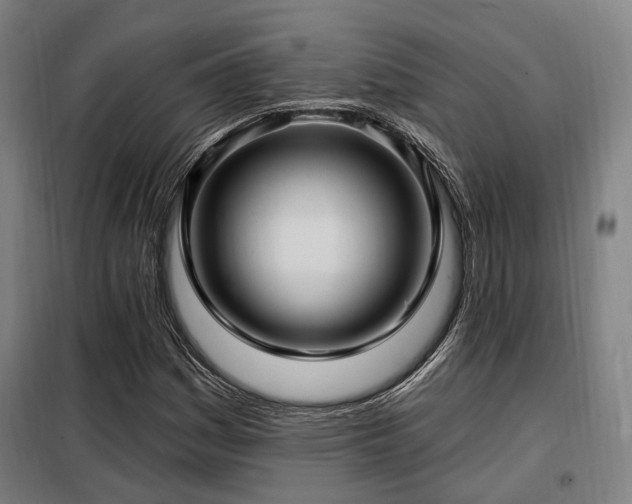 X0000098071161200804041118