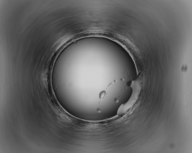 X0000098071162200804041118