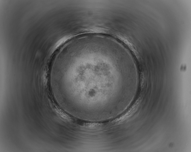 X0000098071163200804041118
