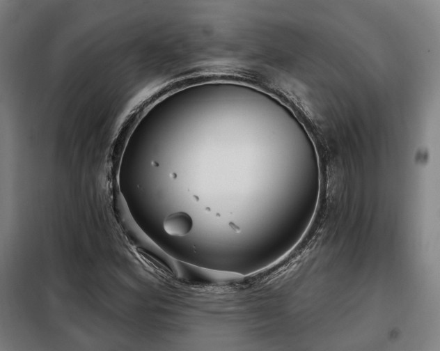X0000098071164200804041118