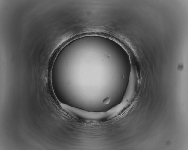 X0000098071165200804041118