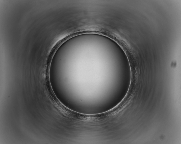X0000098071166200804041118