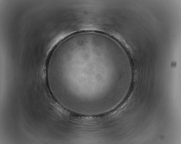 X0000098071167200804041118