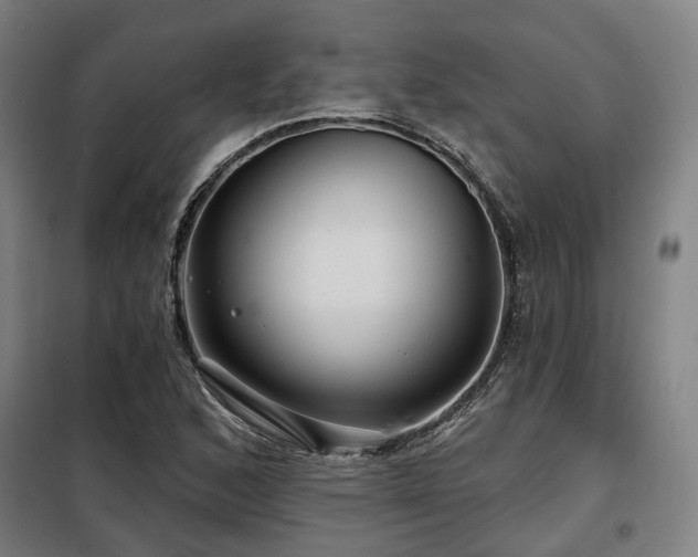 X0000098071168200804041118
