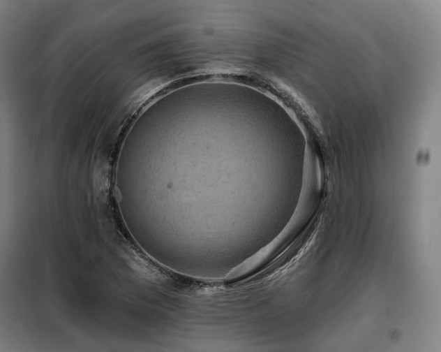 X0000098071169200804041118
