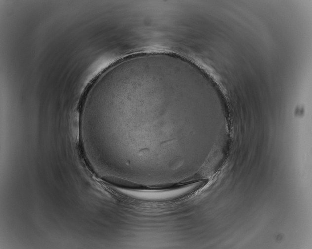 X0000098071171200804041118