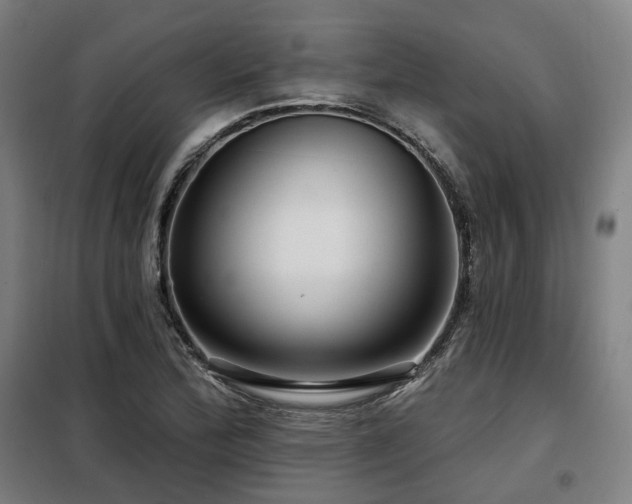 X0000098071172200804041118