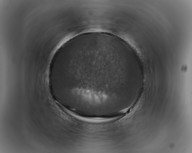 X0000098071173200804041118