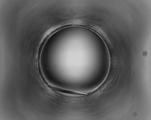 X0000098071176200804041118