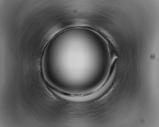 X0000098071177200804041118