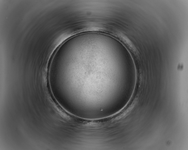 X0000098071178200804041118