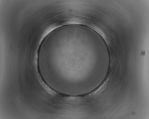 X0000098071179200804041118