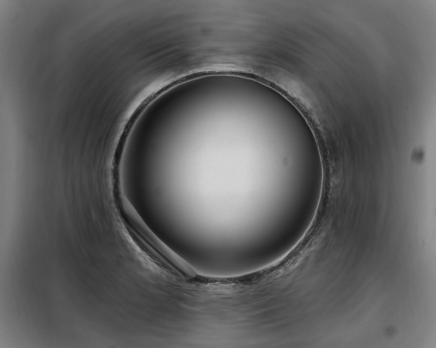 X0000098071181200804041118