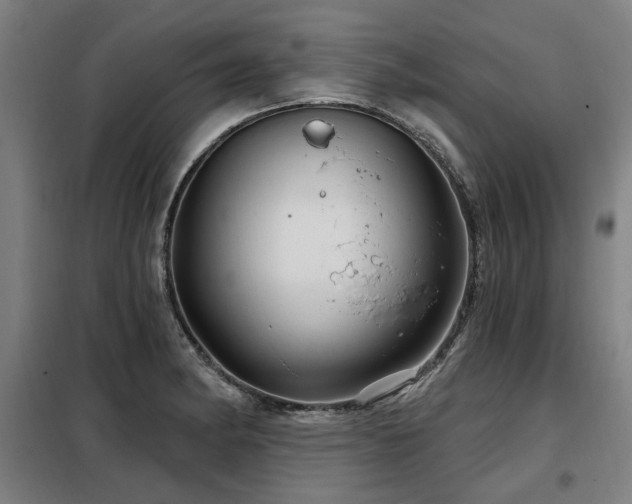 X0000098071182200804041118