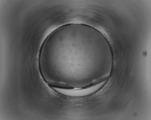 X0000098071183200804041118
