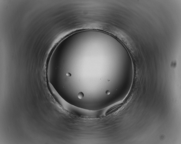 X0000098071184200804041118