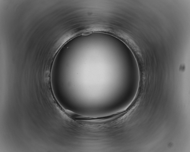 X0000098071185200804041118