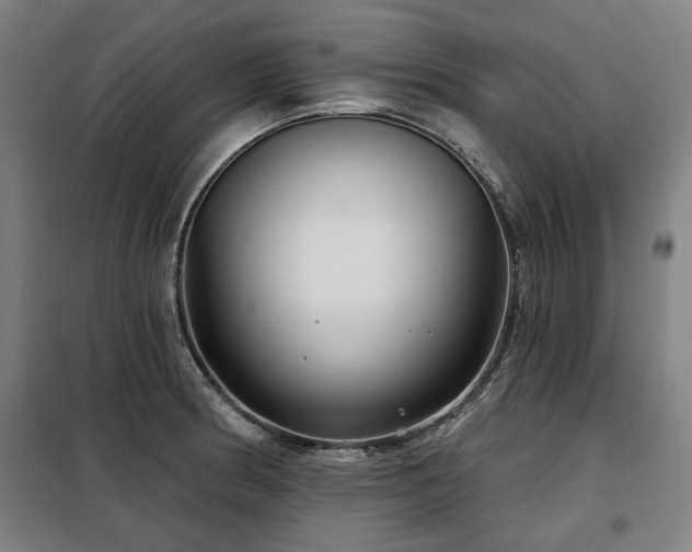X0000098071186200804041118