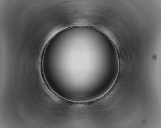 X0000098071187200804041118