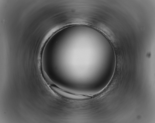 X0000098071188200804041118